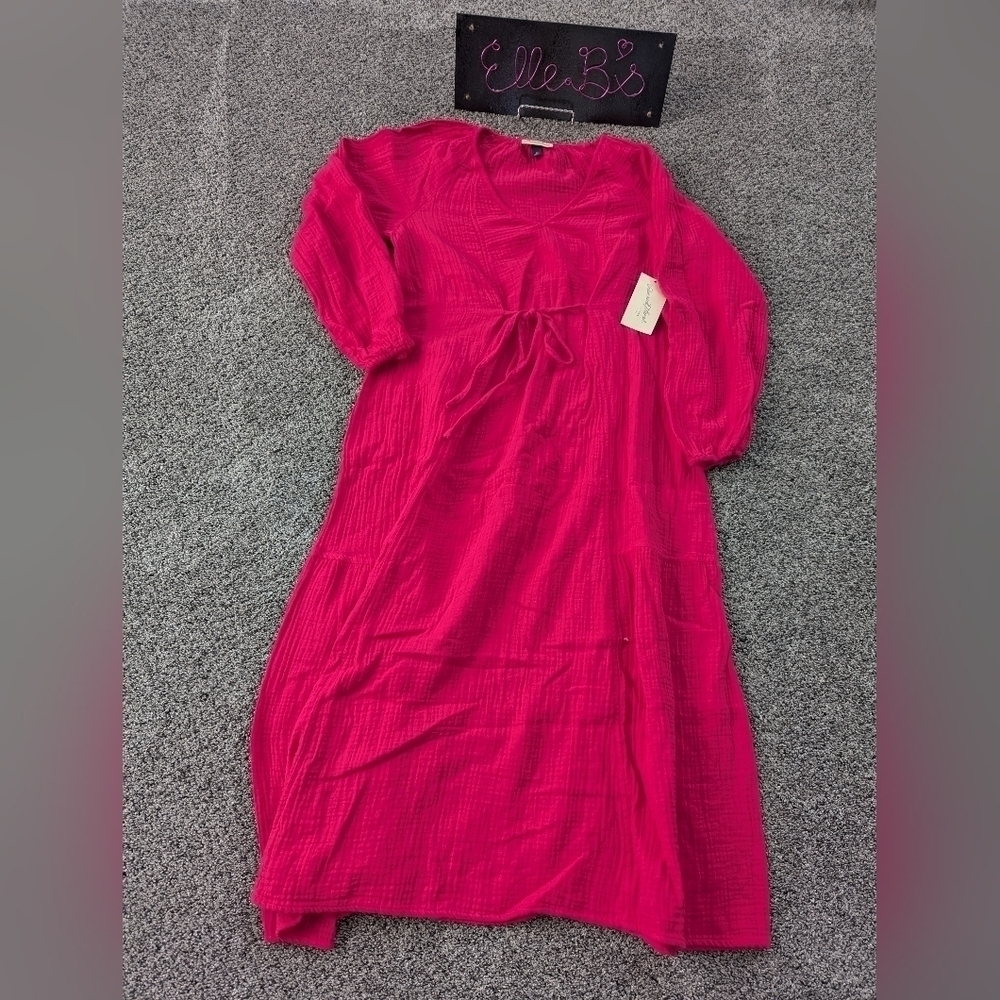 NWT Universal Thread Pink Long Sleeve Maxi Dress L